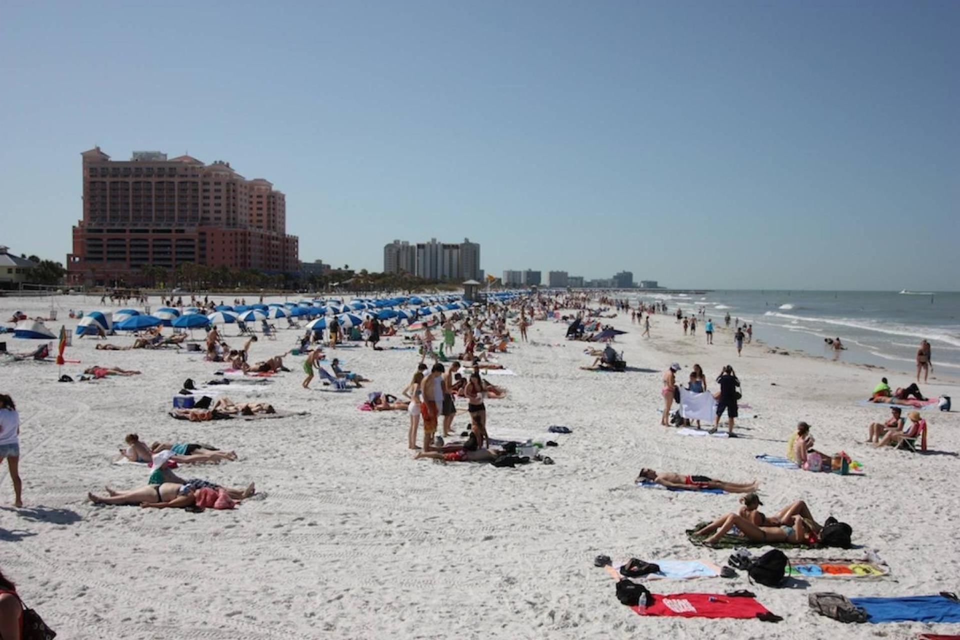 204 Bay Harbor Villa Clearwater Beach Bagian luar foto